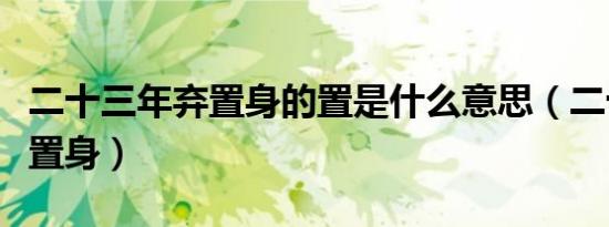 二十三年弃置身的置是什么意思（二十三年弃置身）