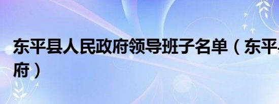 东平县人民政府领导班子名单（东平县人民政府）