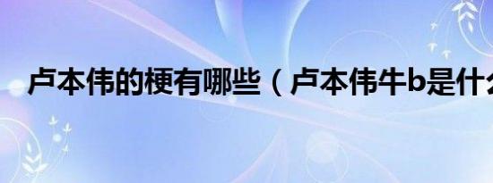 卢本伟的梗有哪些（卢本伟牛b是什么梗）