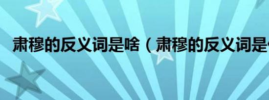 肃穆的反义词是啥（肃穆的反义词是什么）