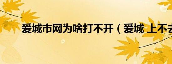 爱城市网为啥打不开（爱城 上不去）