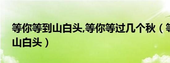 等你等到山白头,等你等过几个秋（等你等到山白头）