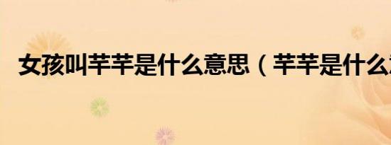 女孩叫芊芊是什么意思（芊芊是什么意思）