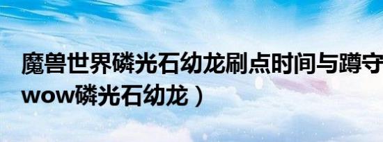 魔兽世界磷光石幼龙刷点时间与蹲守点讲解（wow磷光石幼龙）