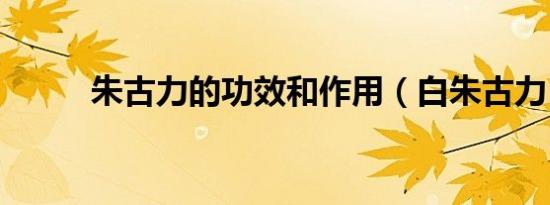 朱古力的功效和作用（白朱古力）