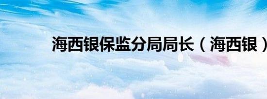 海西银保监分局局长（海西银）