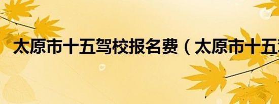 太原市十五驾校报名费（太原市十五驾校）