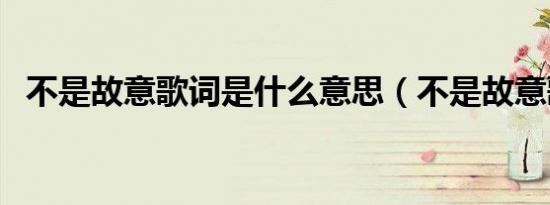 不是故意歌词是什么意思（不是故意歌词）
