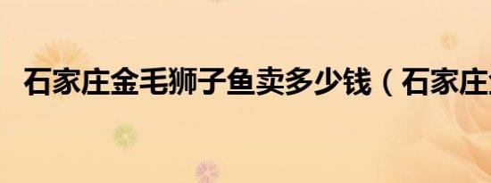 石家庄金毛狮子鱼卖多少钱（石家庄金毛）