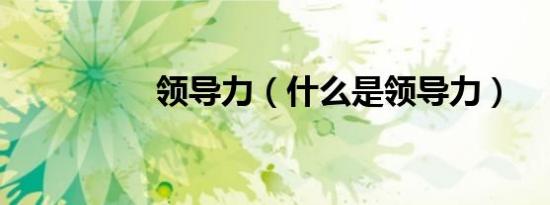 领导力（什么是领导力）