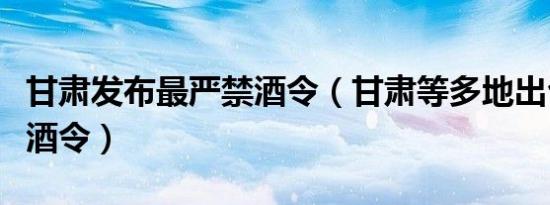 甘肃发布最严禁酒令（甘肃等多地出台最严禁酒令）