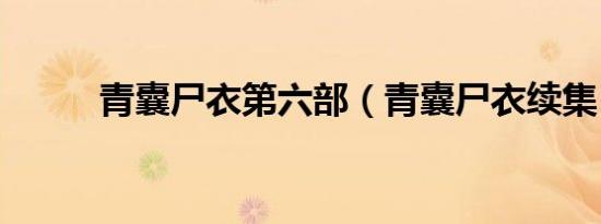 青囊尸衣第六部（青囊尸衣续集）