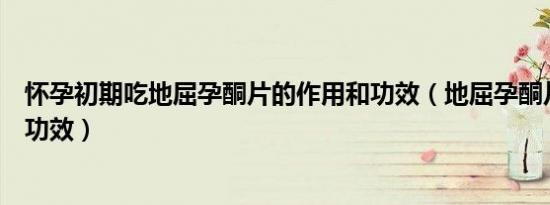 怀孕初期吃地屈孕酮片的作用和功效（地屈孕酮片的作用和功效）