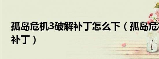 孤岛危机3破解补丁怎么下（孤岛危机3破解补丁）