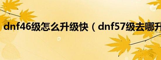 dnf46级怎么升级快（dnf57级去哪升级快）