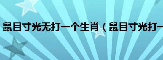鼠目寸光无打一个生肖（鼠目寸光打一生肖）
