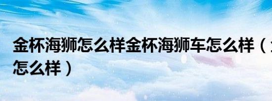 金杯海狮怎么样金杯海狮车怎么样（金杯海狮怎么样）