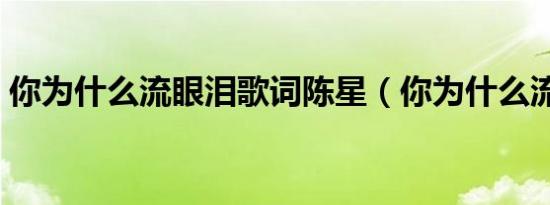 你为什么流眼泪歌词陈星（你为什么流眼泪）