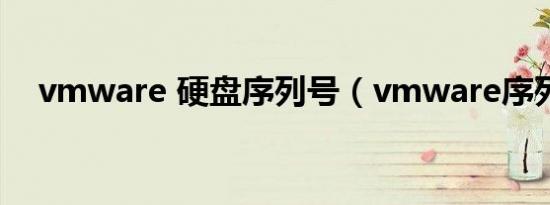 vmware 硬盘序列号（vmware序列号）