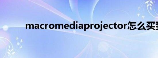 macromediaprojector怎么买到
