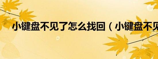 小键盘不见了怎么找回（小键盘不见了）