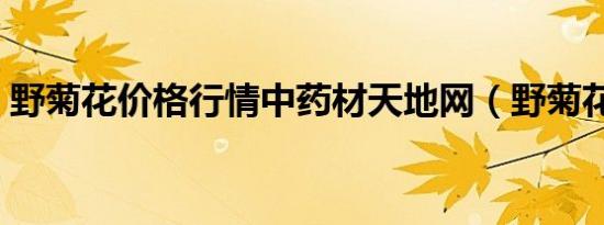 野菊花价格行情中药材天地网（野菊花价格）