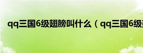 qq三国6级翅膀叫什么（qq三国6级翅膀）