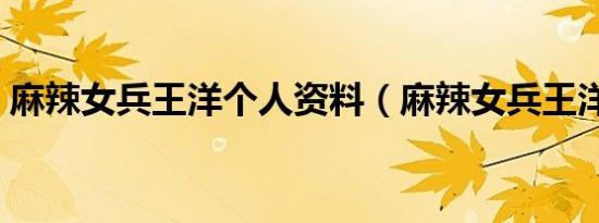 麻辣女兵王洋个人资料（麻辣女兵王洋资料）