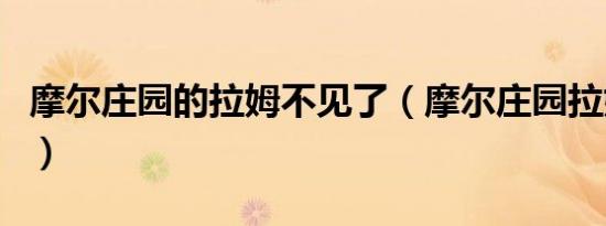 摩尔庄园的拉姆不见了（摩尔庄园拉姆不见了）