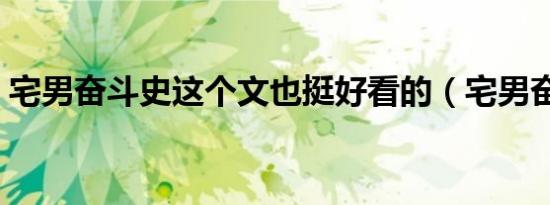 宅男奋斗史这个文也挺好看的（宅男奋斗史）