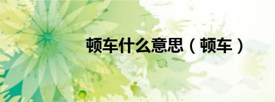 顿车什么意思（顿车）