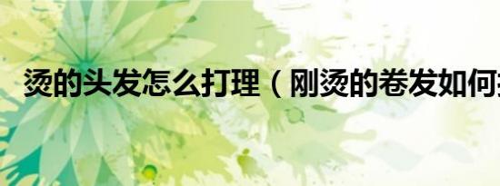 烫的头发怎么打理（刚烫的卷发如何打理）