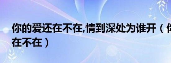 你的爱还在不在,情到深处为谁开（你的爱还在不在）