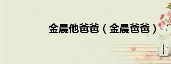 金晨他爸爸（金晨爸爸）