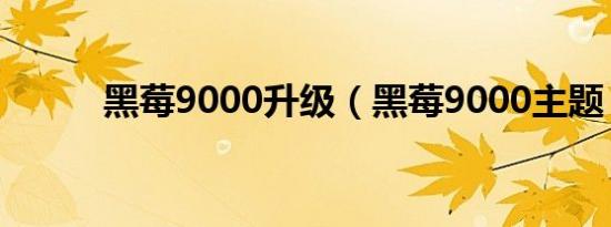 黑莓9000升级（黑莓9000主题）