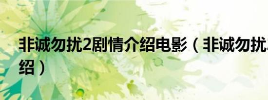 非诚勿扰2剧情介绍电影（非诚勿扰2剧情介绍）