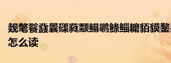 觌氅餮鼗曩磲蕤颥鳎鹕鲦鲻耱貊貘鍪籴耋瓞耵怎么读