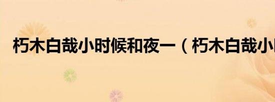 朽木白哉小时候和夜一（朽木白哉小时候）