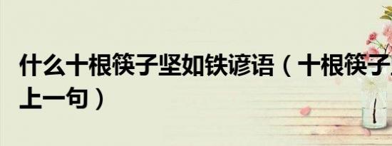 什么十根筷子坚如铁谚语（十根筷子坚如铁的上一句）