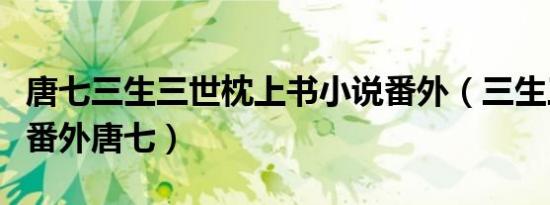 唐七三生三世枕上书小说番外（三生三世枕上番外唐七）