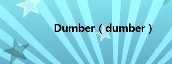 Dumber（dumber）