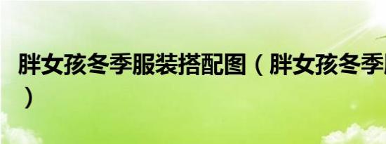 胖女孩冬季服装搭配图（胖女孩冬季服装搭配）