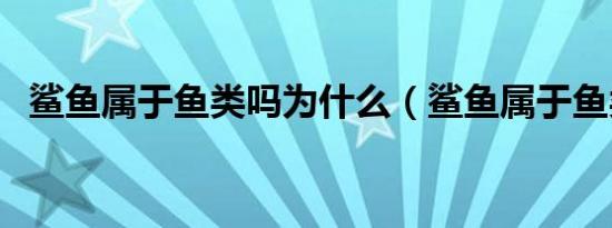 鲨鱼属于鱼类吗为什么（鲨鱼属于鱼类吗）
