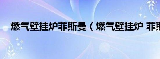 燃气壁挂炉菲斯曼（燃气壁挂炉 菲斯曼）