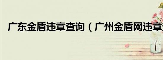 广东金盾违章查询（广州金盾网违章查询）
