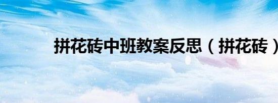 拼花砖中班教案反思（拼花砖）