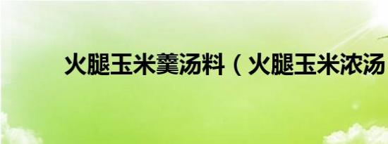 火腿玉米羹汤料（火腿玉米浓汤）