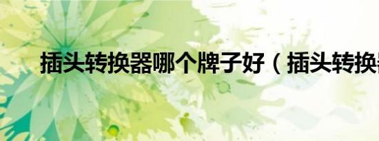 插头转换器哪个牌子好（插头转换器）