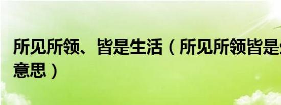 所见所领、皆是生活（所见所领皆是生活什么意思）