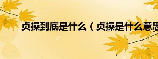 贞操到底是什么（贞操是什么意思）